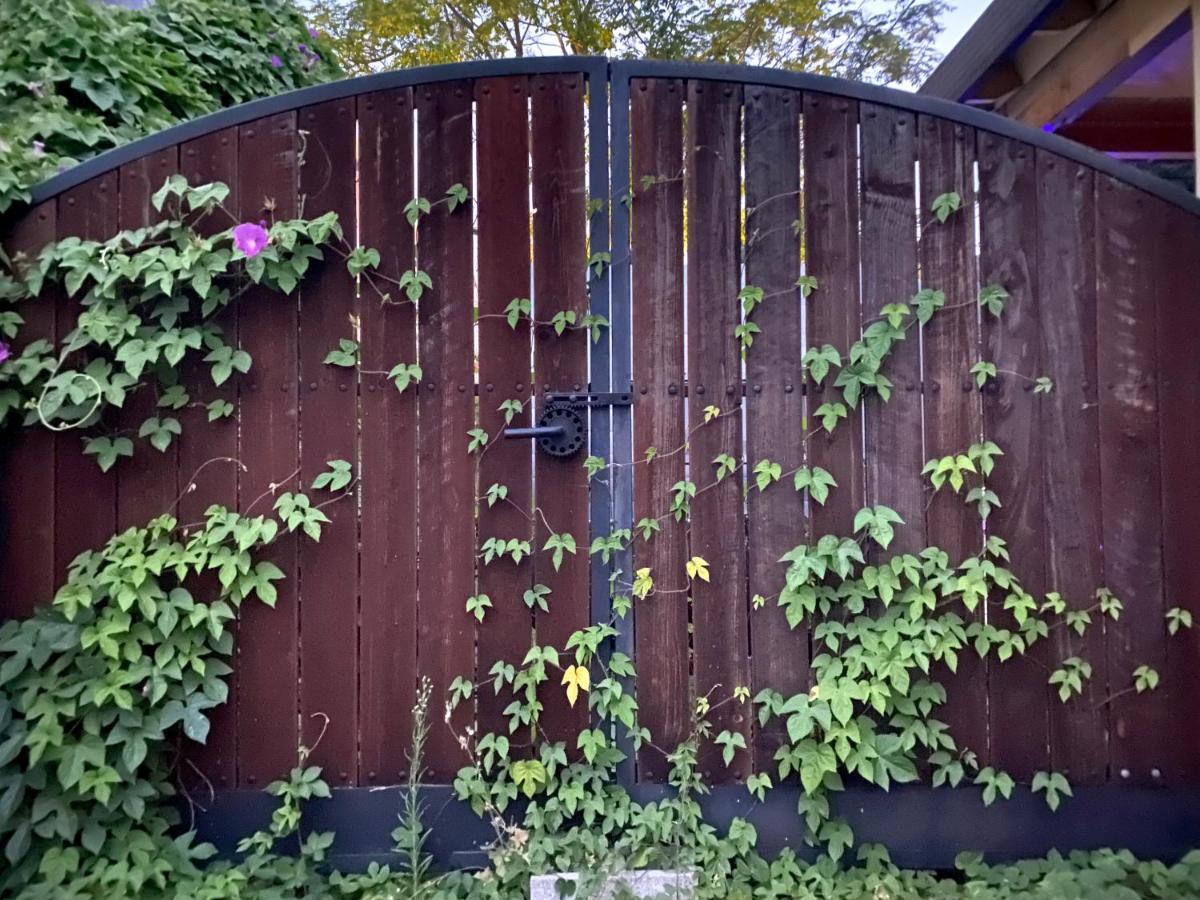 Bed and Breakfast My Big Art Project Santa Rosa Exterior foto